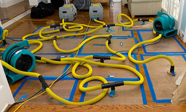Professional Water Damage Repair technician working in Meyersville, TX