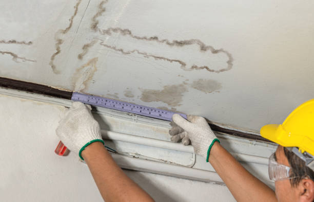 Affordable Water Damage Repair solutions in Meyersville, TX